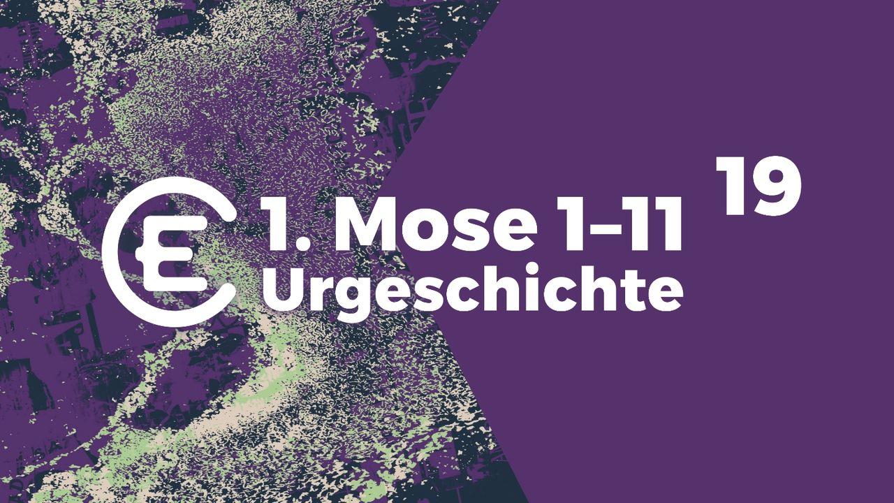 19 x Urgeschichte