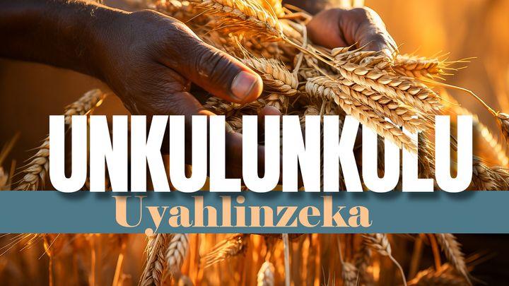 UNkulunkulu Uyahlinzeka