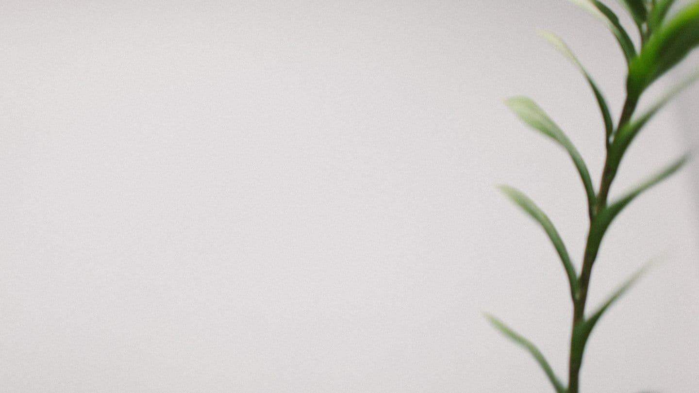 Authentic Fasting From James MacDonald