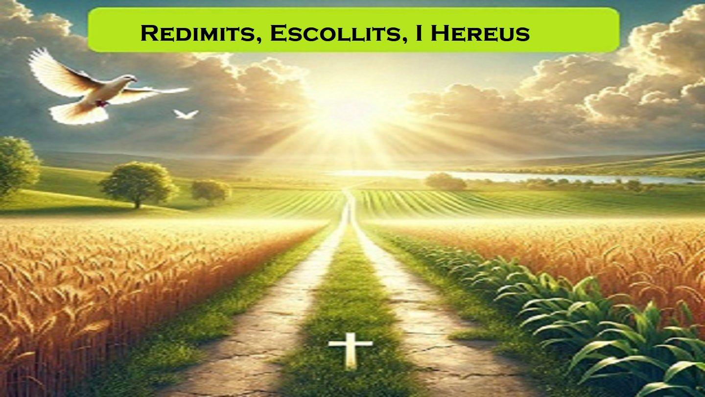 Redimits, Escollits, I Hereus LUK 19:10 Kemethajüh (N) (Re-editing) Bible (BSI)