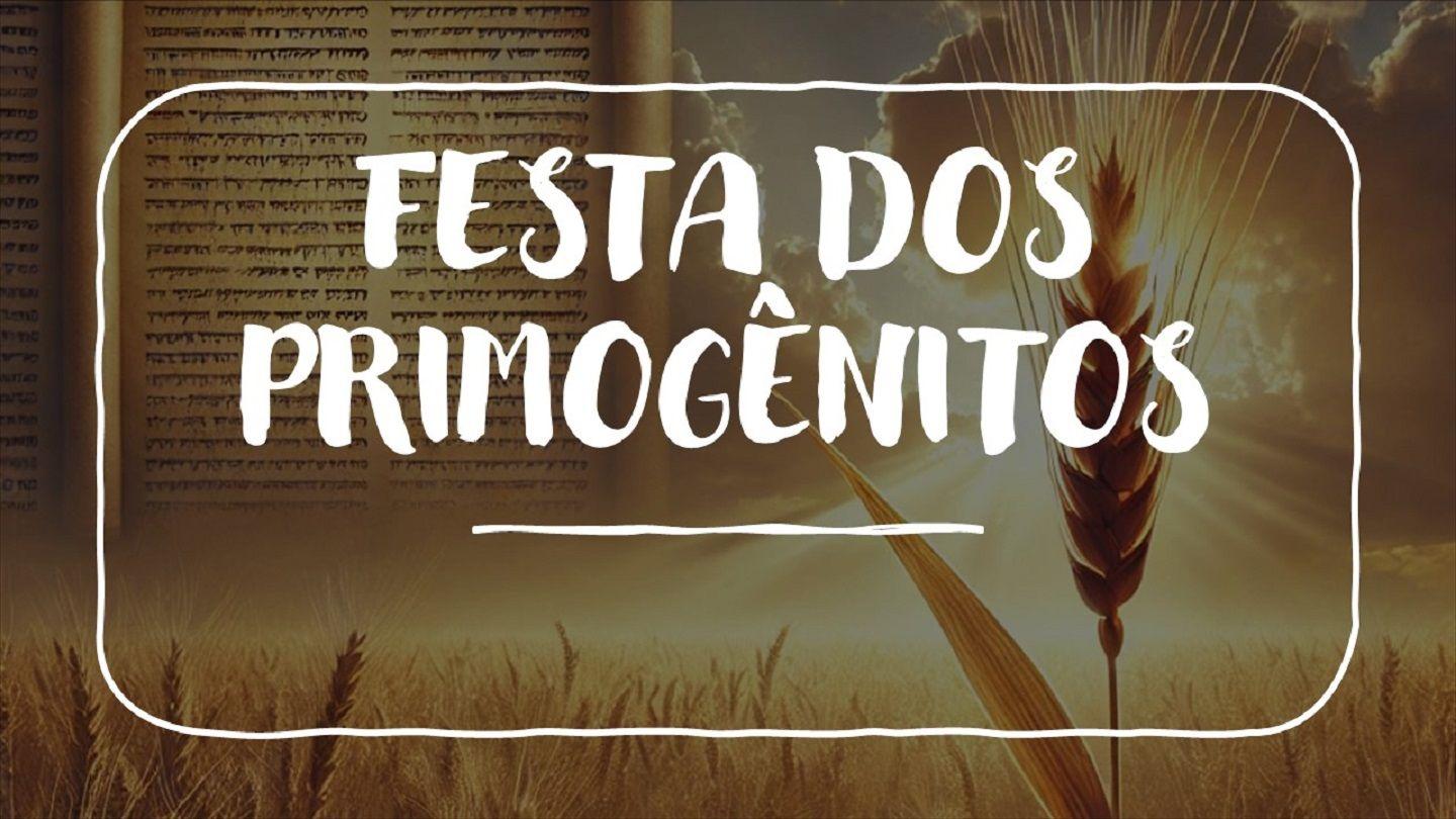 Festa dos Primogênitos Efésios 1:13-23 Nova Tradução na Linguagem de Hoje