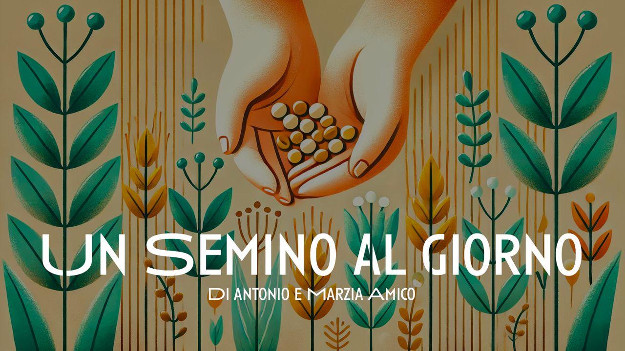 Un Semino Al Giorno