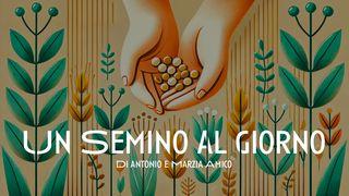 Un Semino Al Giorno
