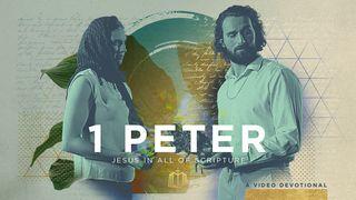 1 Peter: Exiled, but Not Alone | Video Devotional 1 Peter 1:17-20 The Passion Translation