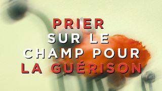 Priez sur le champ pour la guérison !