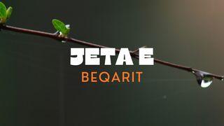 Jeta e Beqarit