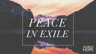 1 Peter: Peace in Exile 1 Peter 4:3-8 New Living Translation