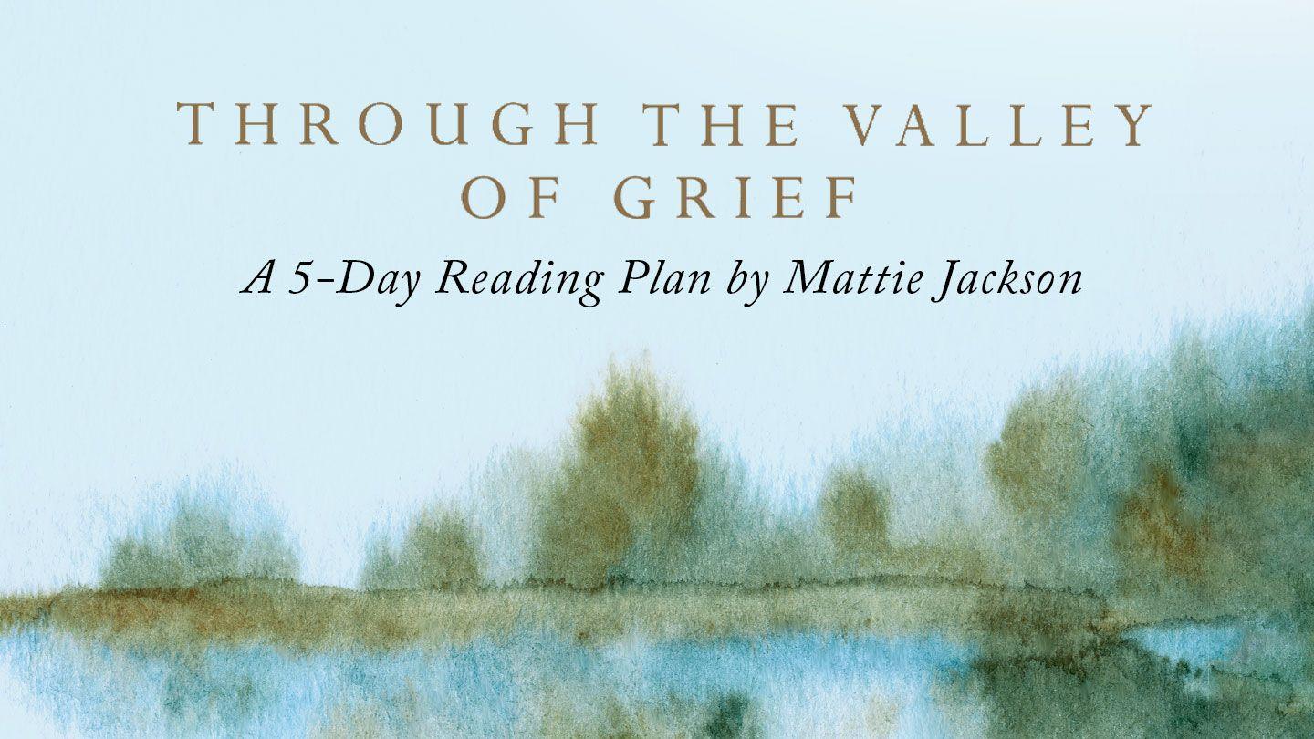 Through the Valley of Grief Ezekiel 34:11-31 King James Version