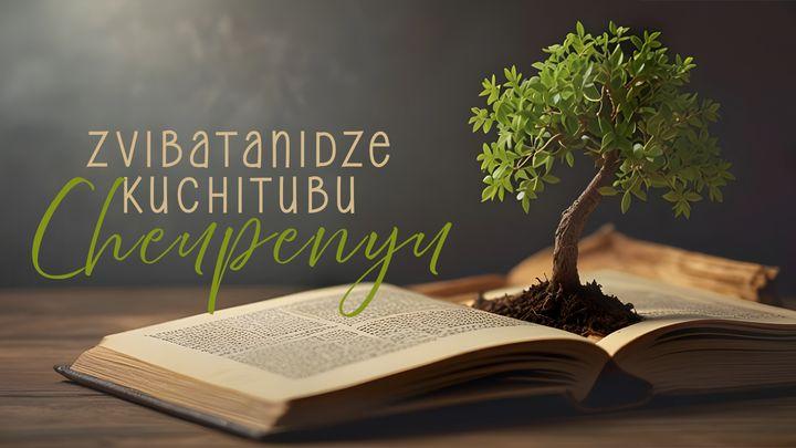 Zvibatanidze Kuchitubu Cheupenyu