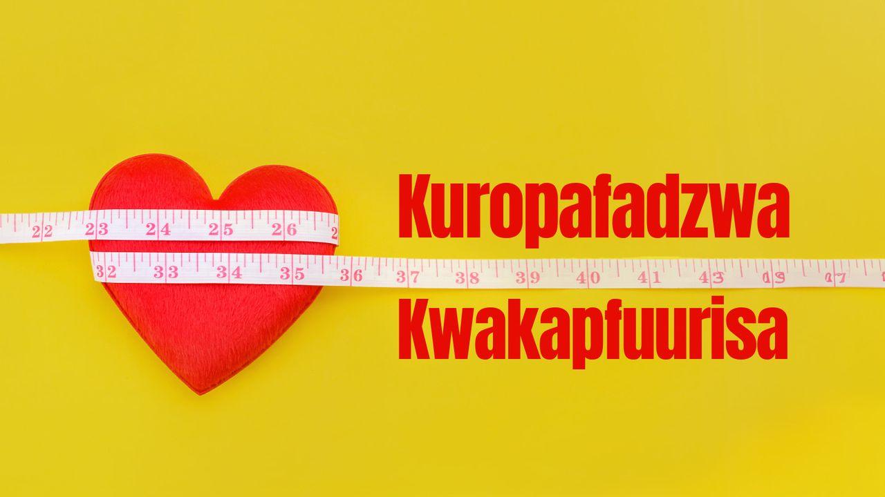 Kuropafadzwa Kwakapfuurisa
