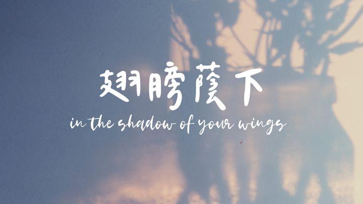 翅膀蔭下