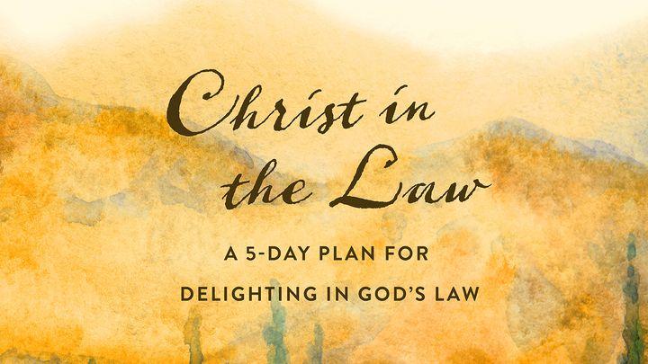 Christ in the Law: A 5-Day Plan to Delighting in God’s Law