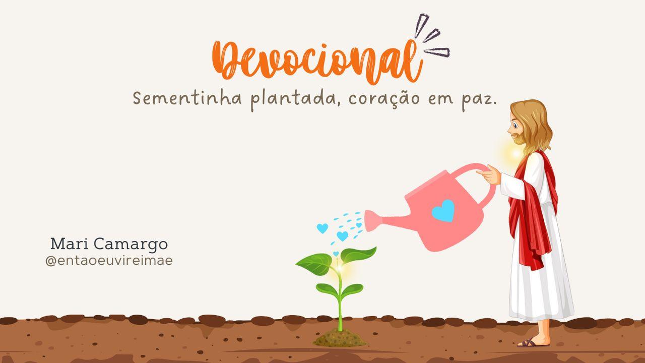 Escola - Sementinha plantada, coração em paz.