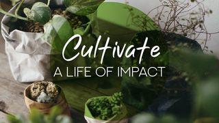Cultivate a Life of Impact 1 John 2:13-14 New Century Version