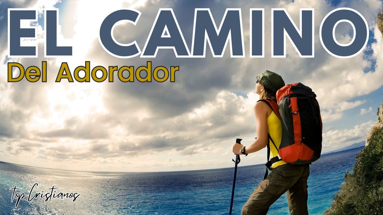 El Camino Del Adorador