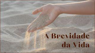 A Brevidade da Vida