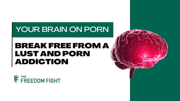 Your Brain on Porn – Break Free From a Lust and Porn Addiction