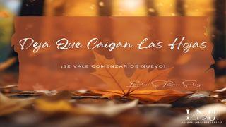 Deja que caigan las hojas
