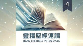靈糧聖經速讀120-Part4 路加福音 8:2-3 新標點和合本, 神版