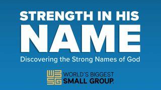Strength in His Name Genesis 15:1, 2, 3, 4, 5, 6 New Living Translation