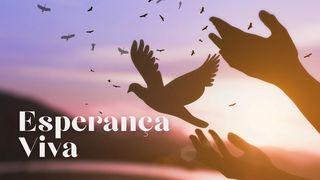 Esperança Viva ಮಥಿಃ 2:1-2 ಸತ್ಯವೇದಃ। Sanskrit Bible (NT) in Kannada Script