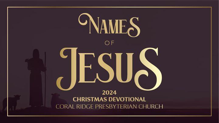 Names of Jesus | Advent Devotional