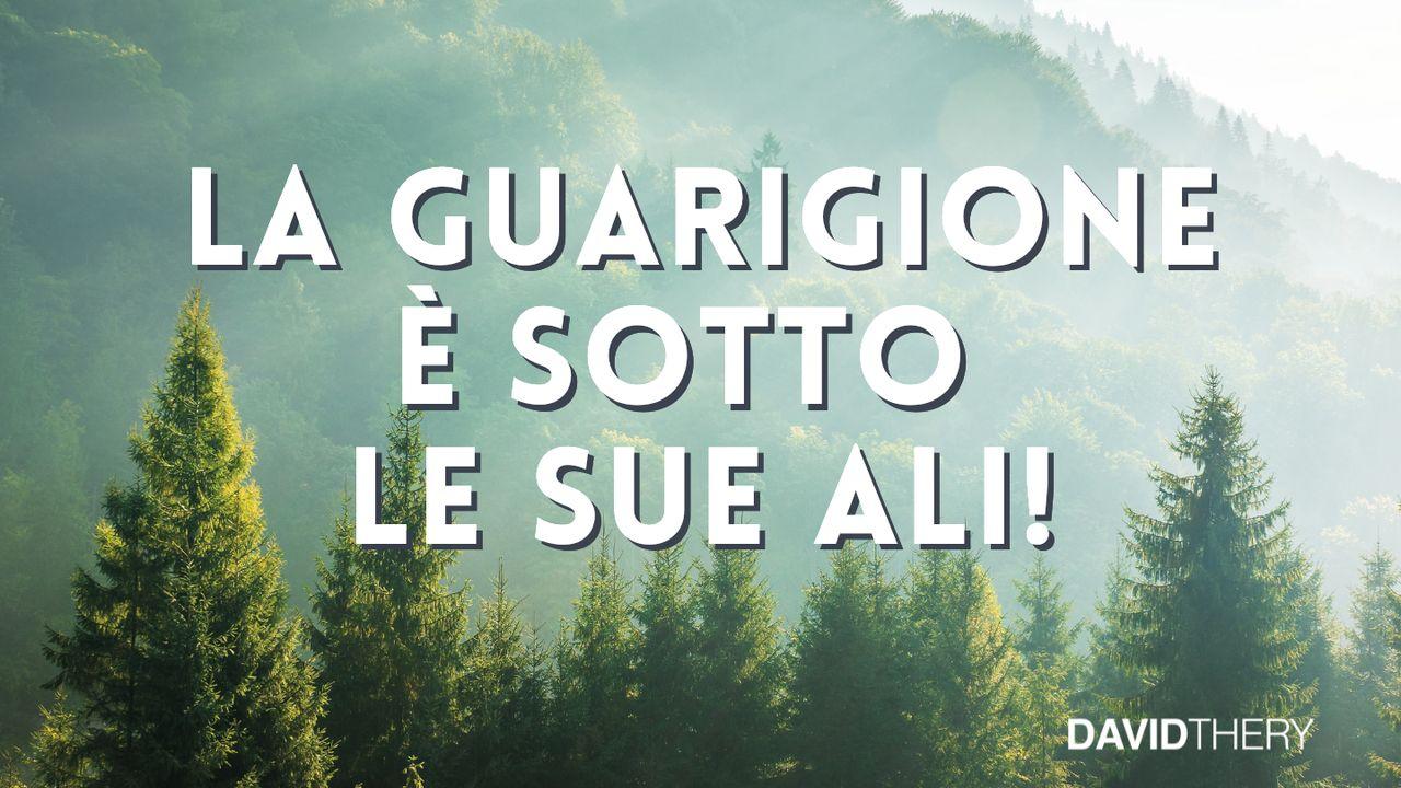 La guarigione è sotto le sue ali!