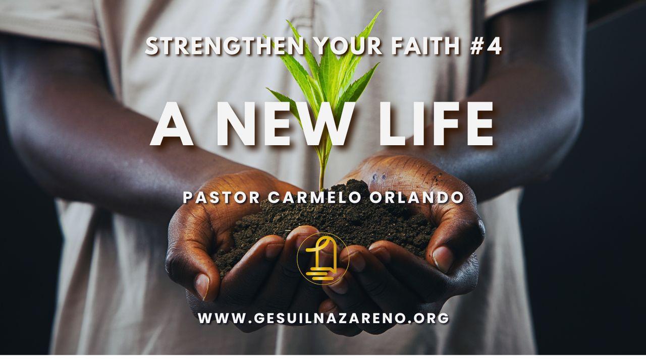 Strengthen Your Faith #4 a New Life