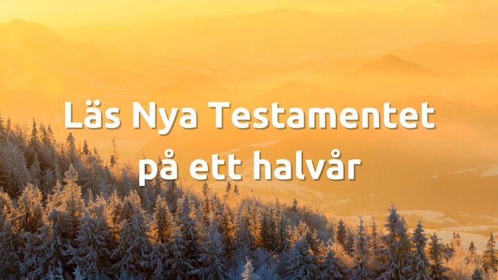 Nya Testamentet på ett halvår