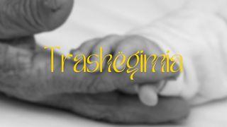 Trashëgimia