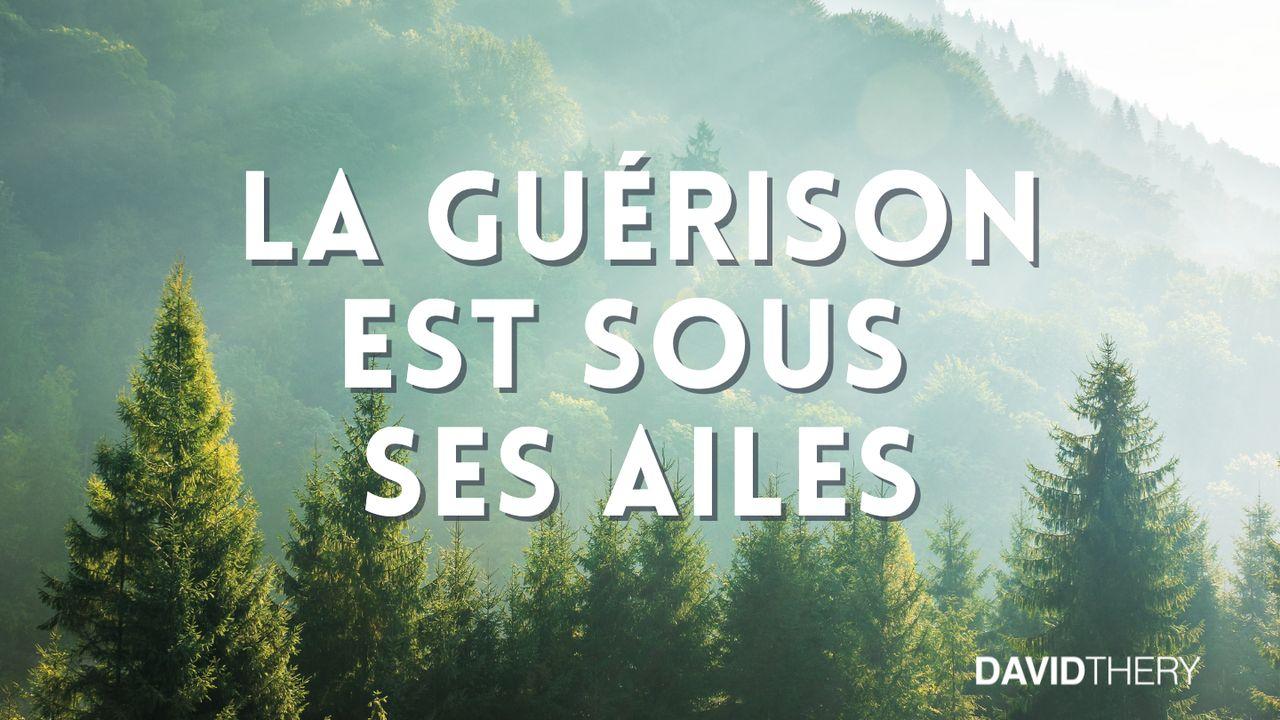 La guérison est sous ses ailes !