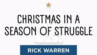 Christmas in a Season of Struggle 约翰福音 12:46 新标点和合本, 神版