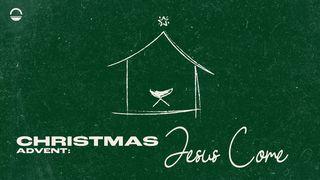 Christmas Advent: Jesus, Come Exodus 16:1-4 New American Standard Bible - NASB 1995