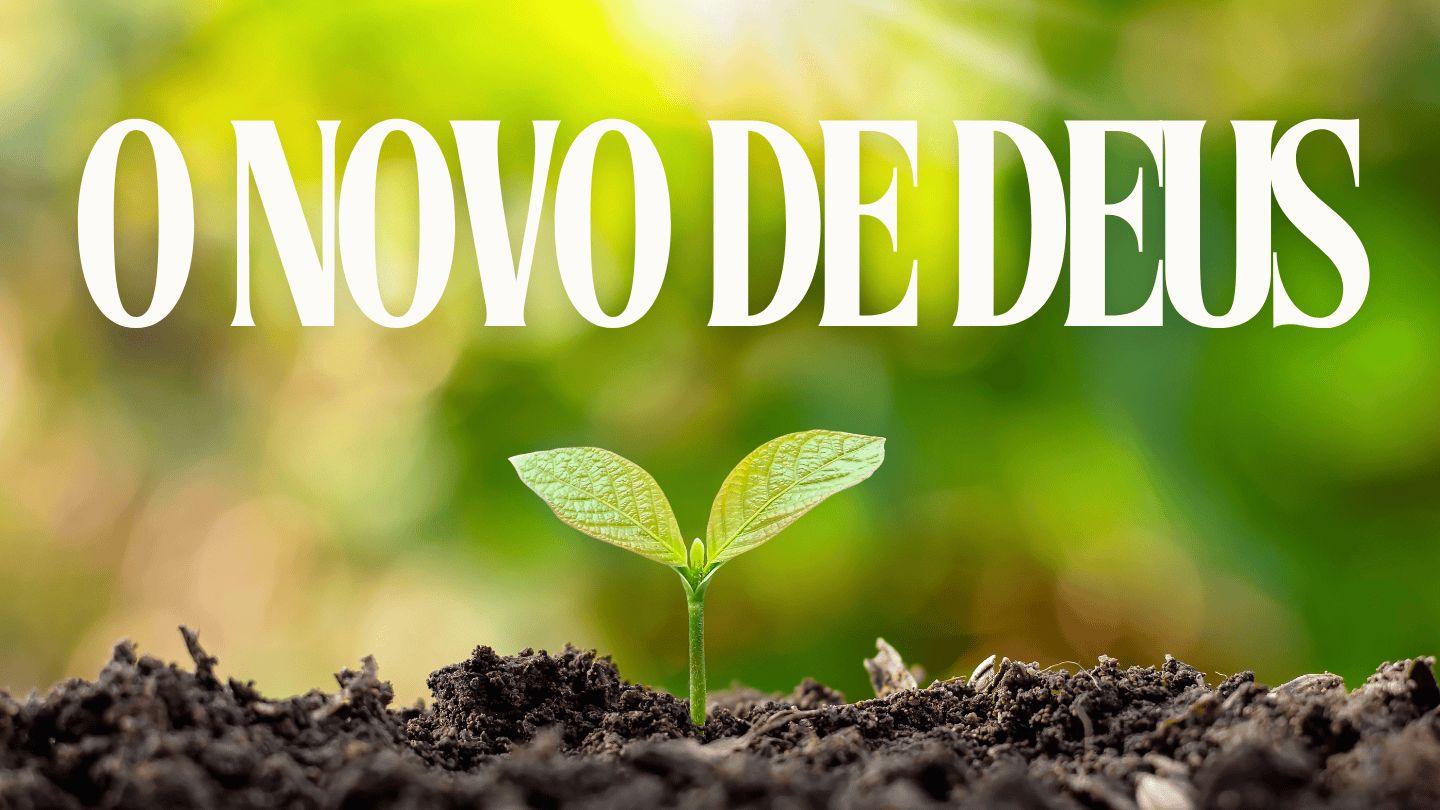 O NOVO DE DEUS