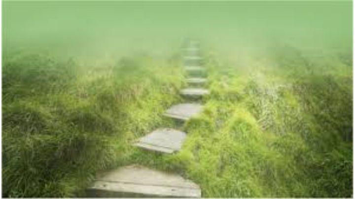 Daniel P1: Godly Living as a Stranger in the Land