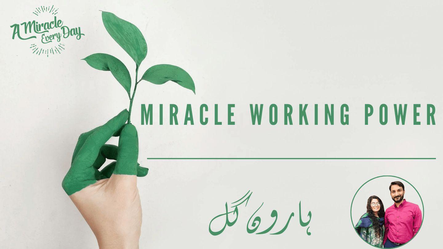 Miracle Working Power