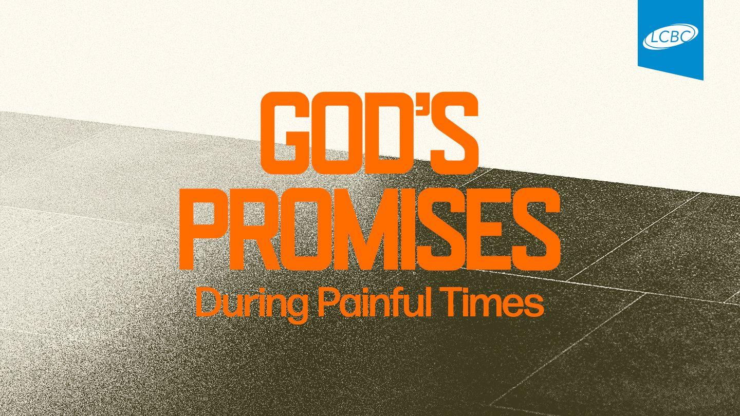 God's Promises in Painful Times 2 Samuel 22:4 New Century Version