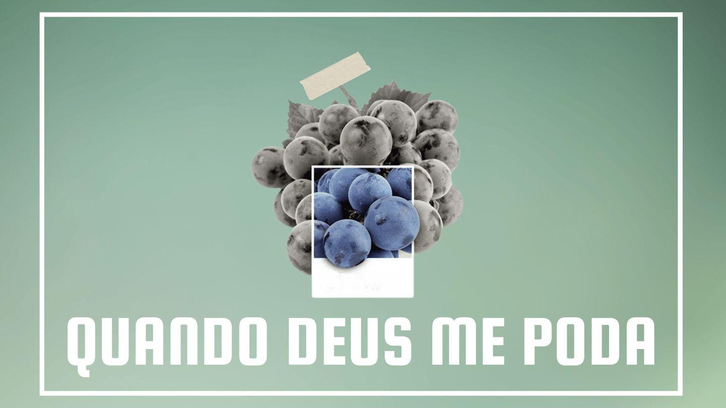 Quando Deus Me Poda Salmos 34:1-14 Nova Bíblia Viva Português