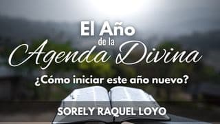El Año De La Agenda Divina