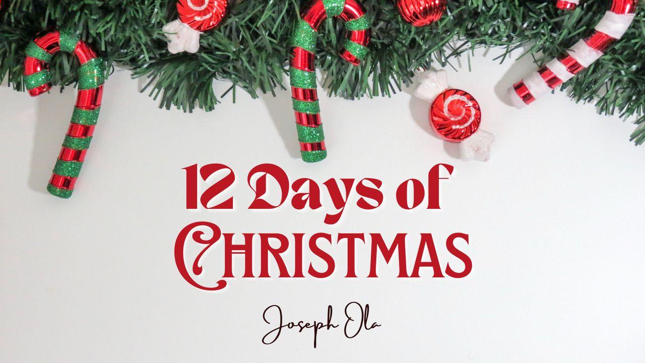 12 Days of Christmas