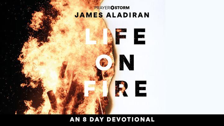 Life on Fire