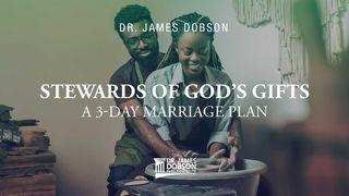 Stewards of God’s Gifts: A 3-Day Marriage Plan テモテへの第一の手紙 6:10 Japanese: 聖書　口語訳