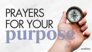 Prayers to Pursue Your Purpose Joshua 1:9 Amplified Bible, Classic Edition