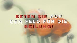 Beten Sie auf dem Feld für die Heilung!