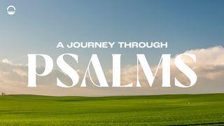 A Journey Through the Psalms Psalm 119:161-176 English Standard Version 2016