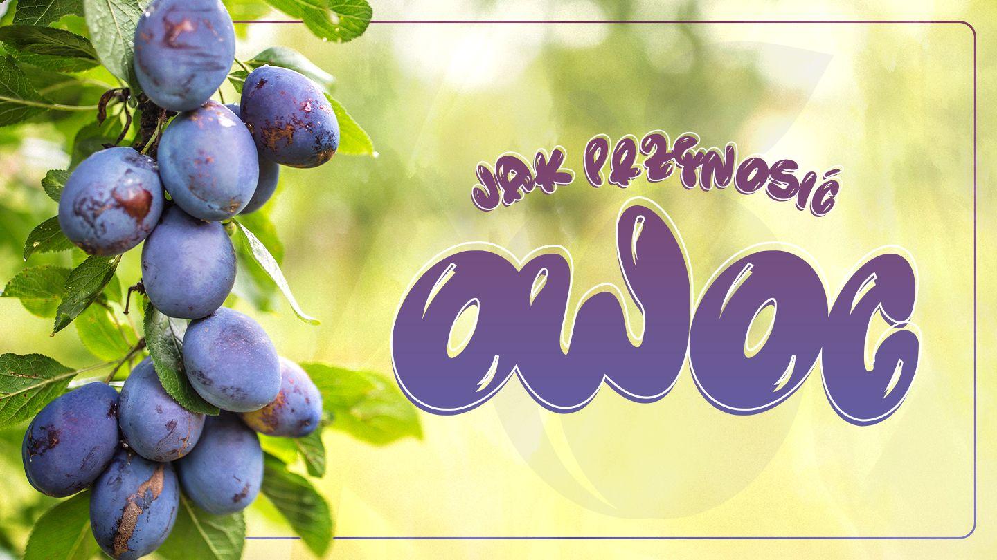 Jak przynosić owoc? Yohani 15:2 Lipatanu Lya Syayi Kwa Wantu Woseri