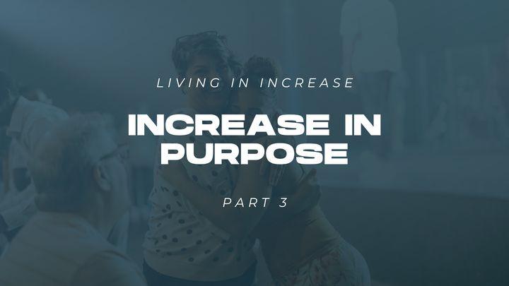 Living in Increase (Part 3) - Increase in Purpose