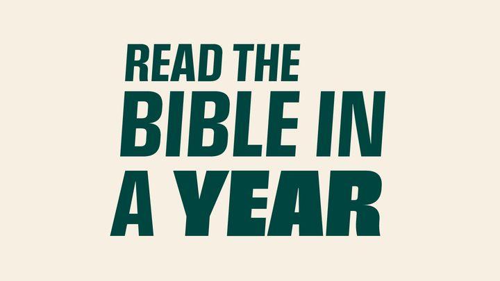Read the Bible in a Year