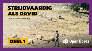 Open Doors | Strijdvaardig als David door Anne van der Bijl | Deel 1 GÉNESIS 3:15 Qheshwa Biblia DC