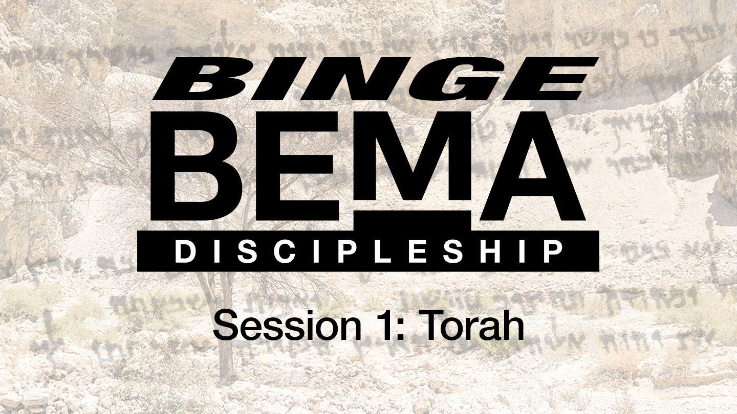 Binge BEMA Session 1